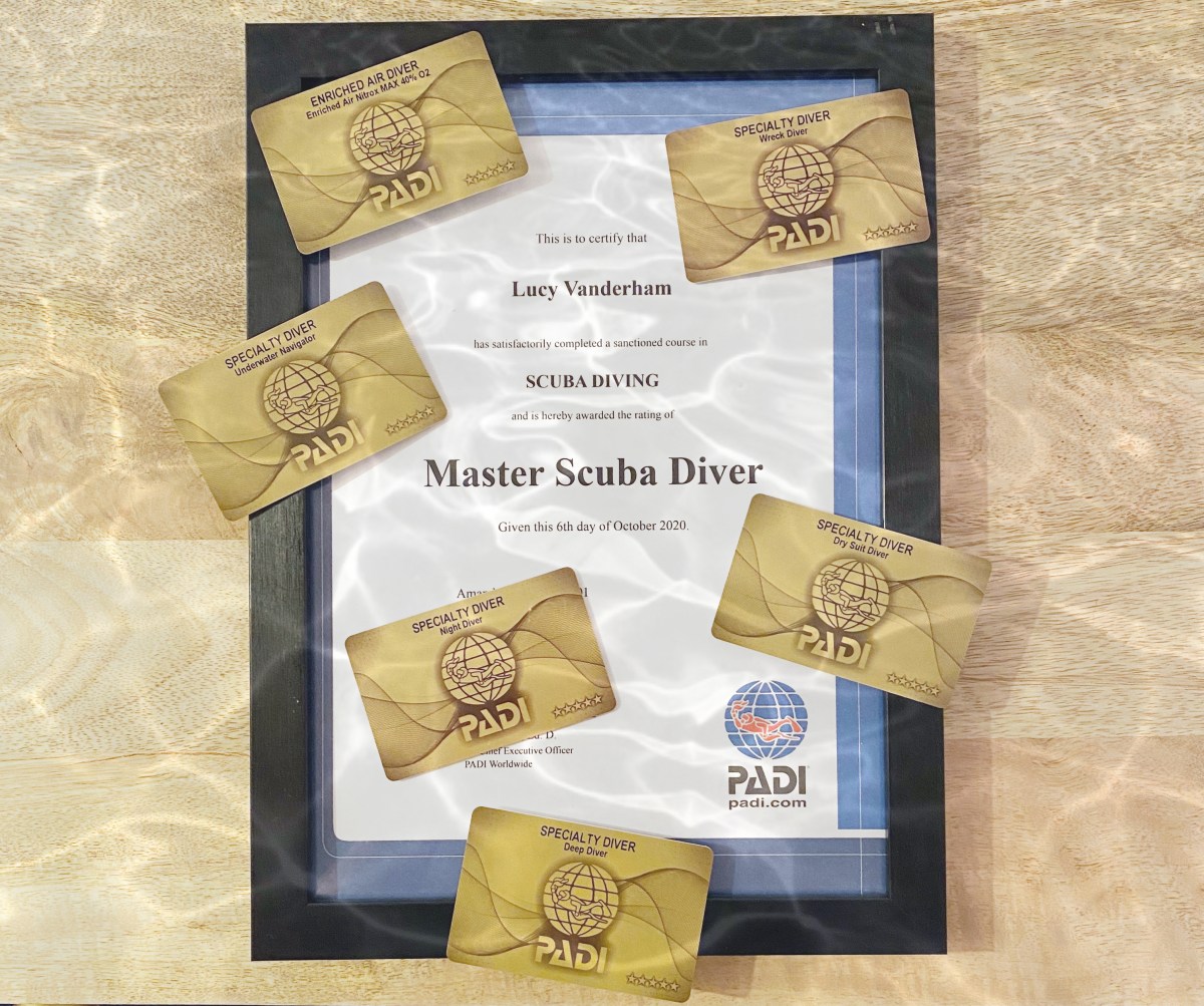 Becoming a Specialty&nbsp;Diver